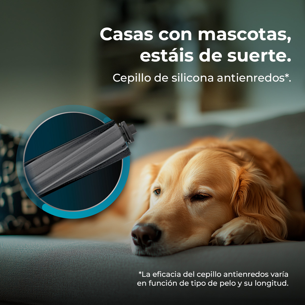 Conga 7690 Immortal Max Home | Envío gratis y mejor precio garantizado – foto detalle 4